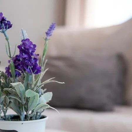 Calas B Y D Apartamento Torrevieja