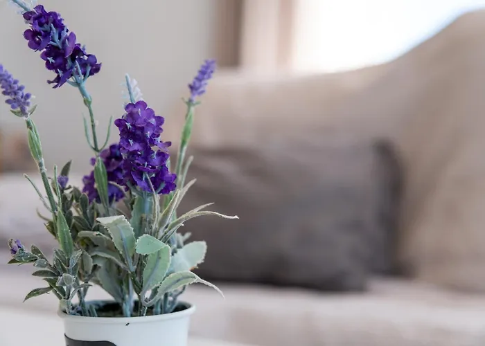 Calas B Y D Apartamento Torrevieja